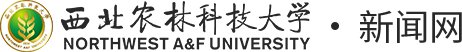 安博app官网登录入口