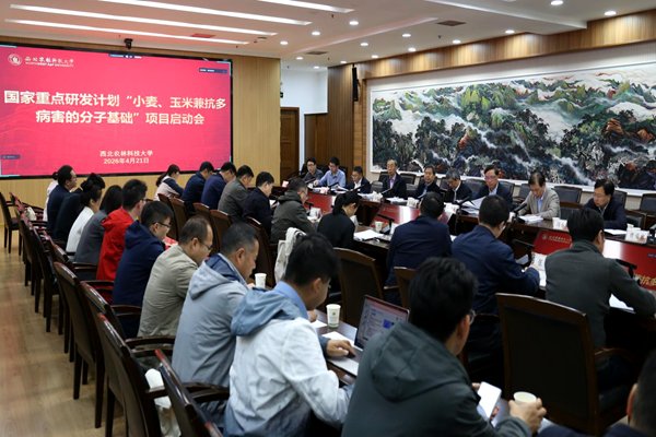 更多阅读