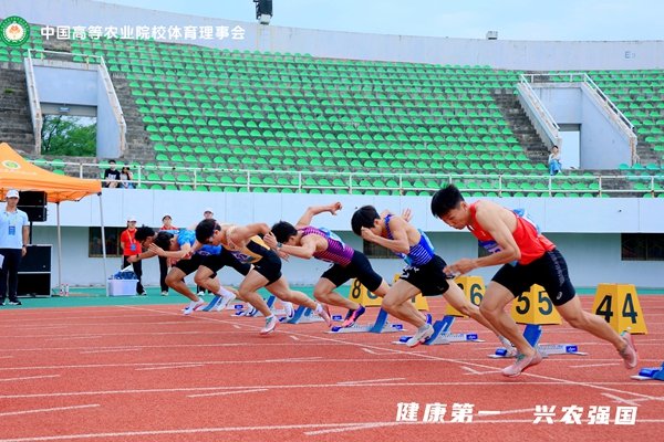 常务副校长韦革宏致辞并宣布运动会开幕