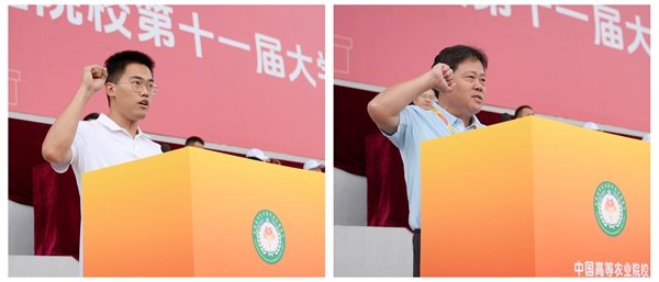 更多阅读