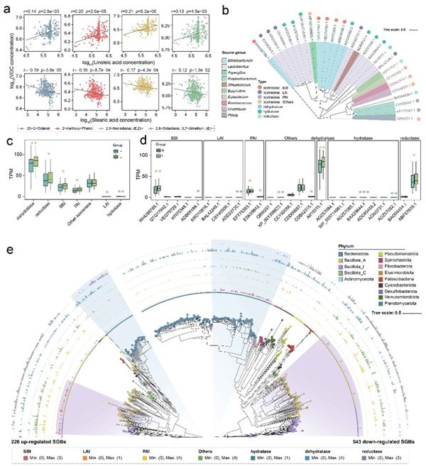 相关成果以“Metagenome a