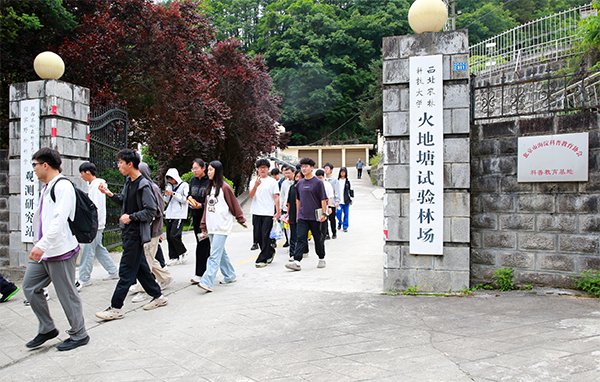 时事茶座